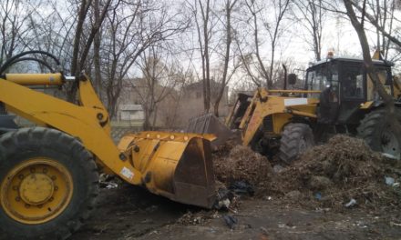 По поручению главы региона Алексея Текслера мусор от субботников в Троицке будет вывезен в трехдневный срок.